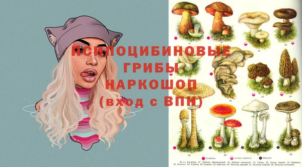 2c-b Абинск