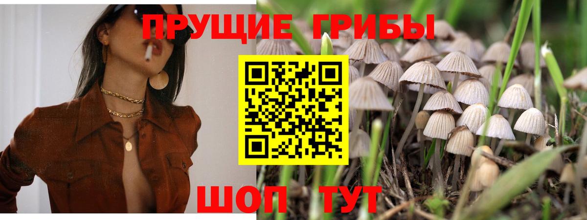 Псилоцибиновые грибы MAGIC MUSHROOMS Дубна