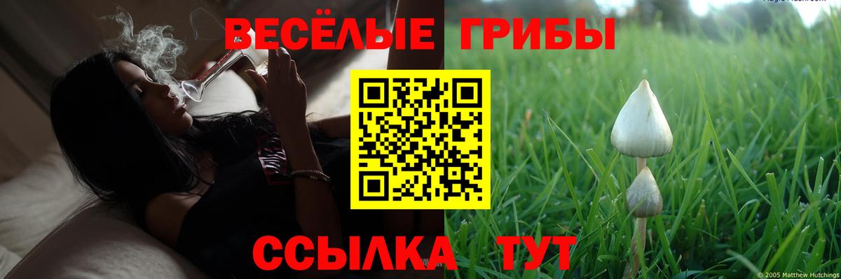 Галлюциногенные грибы Psilocybine cubensis  Галлюциногенные грибы Cubensis  Вход с VPN  Дубна 